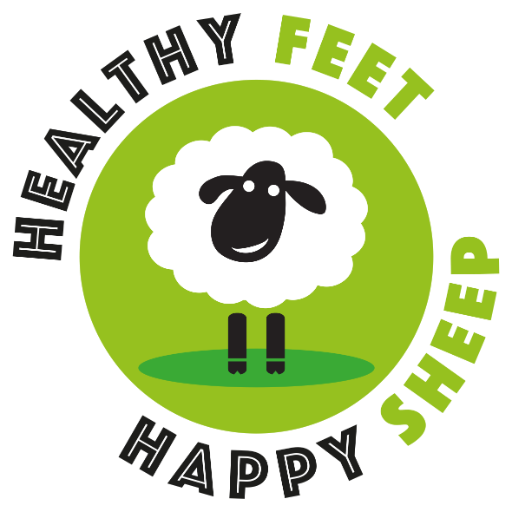 Healthy Feet Happy Sheep Logo